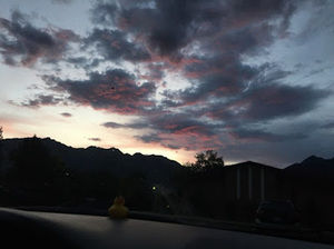 Meet your Posher, Ella